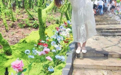 网站你懂我意思吧晚上在线观看